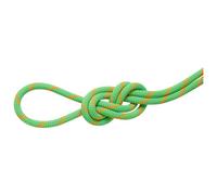 Mammut - 8.0 Alpine Dry Rope - Mezza corda 30 m verde