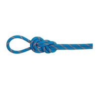 Mammut - 8.0 Alpine Dry Rope - Mezza corda 50 m blu/bianco