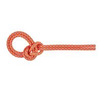 Mammut - 8.7 Crag Sender Dry Rope - Corda intera 70 m fuchsia