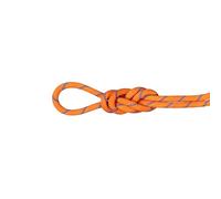 Mammut 9.0 Alpine Sender - Corda a Secco, 50 m, 50 m