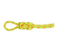Mammut - 9.5 Alpine Core Protect Dry Rope - Corda intera 30 m giallo