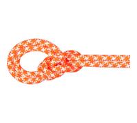 Mammut - 9.5 Crag Classic Rope - Corda intera 70 m variopinto