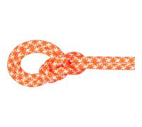 Mammut - 9.5 Crag Classic Rope - Corda intera 80 m variopinto