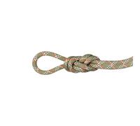 Mammut 9.5 Gym Classic Rope | Corda da Arrampicata - Robusta e Resistente | 40 m, Boa-White
