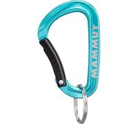 Mammut Mini carabiner Classic Keylock S Blue keylock