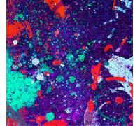 Mamuthones - Symphony For The Devil