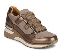 Mam'Zelle Sneakers basse Vivi in Marrone 39