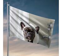 Man Cave Rules Adorabile Bulldog francese in un asciugamano bandiera casa bar decorazione per camera ragazzi (152 x 244 cm)