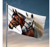 Man Cave Rules Due cavalli maestosi: una bella coppia di bandiere da garage accessori per uomo grotta country boy bandiere (30 x 45 cm)