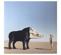 Man Man - Dream Hunting In The Valley Of - Loser