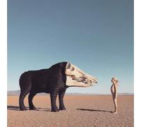 Man Man Dream Hunting in the Valley of the In-between (Vinyl LP) 12" Album