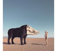 Man Man Dream Hunting in the Valley of the In-between (Vinyl LP)