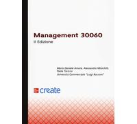 Management 30060 [Paperback] [Jun 20, 2025] Amore, Mario Daniele; Minichilli, Al