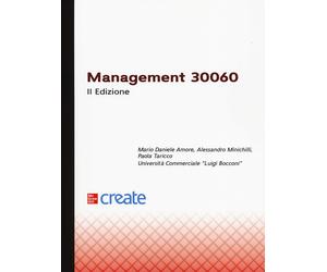 Management 30060 [Paperback] [Jun 20, 2025] Amore, Mario Daniele; Minichilli, Al