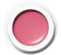 Manasi 7 - All Over Colour - Rossetto Dianthus 5 g