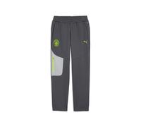 Manchester City PUMATECH Sweatpants Men, Sport, Galactic Grigio/Pro Verde, L L