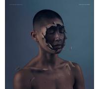 Manchester Orchestr Manchester Orchestra The Valley Of Vision (Indie (Vinyl LP)