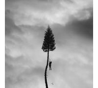 Manchester Orchestra A Black Mile to the Surface (CD) Album