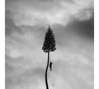 Manchester Orchestra A Black Mile to the Surface (Vinyl LP)