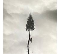 Manchester Orchestra A Black Mile to the Surface (Vinyl LP) 12" Album