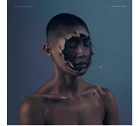 Manchester Orchestra The Valley of Vision (Vinyl LP) 12" Album