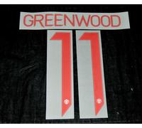 Manchester United 2020/21 Champions League/FA Cup Nome/Numero Greenwood 11 Terzo