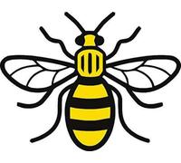 Mancunian #WeStandTogether - Adesivo in vinile per auto, furgone, camera da letto, simbolo di unità e resilienza