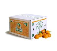 Mandarini 100% Siciliani e 100% Naturali - Massima Freschezza e Sostenibilità, Mandarini Raccolti Direttamente dai Nostri Alberi - 12 kg