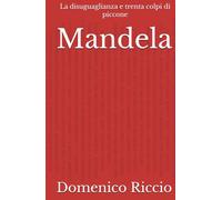 Mandela: La disuguaglianza e trenta colpi di piccone