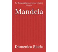Mandela: La disuguaglianza e trenta colpi di piccone