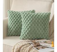 Mandioo 2 Pezzi Federe Cuscini Elegante Decorativi Copricuscini Boho Super Morbido Peluche Moderne velluto Divano Soggiorno Lusso Stile Camera da Letto 65 x 65 cm Verde salvia