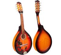 Mandolini Set National Instruments Mandolino Treble Strumento A Otto Corde qualità del Suono Chiaro