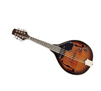 Mandolino Elettroacustico A 8 Corde Fatto A Mano Con Pannello In Legno Di Sapele Con Custodia Professionale Mandolino