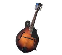 Mandolino F Tipo Strumento A Otto Corde Elettrico E Acustico A Doppio Uso Con Plettro Strumento Mandolino(12)