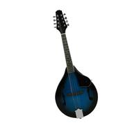 Mandolino Il mandolino è adatto per esibizioni professionali