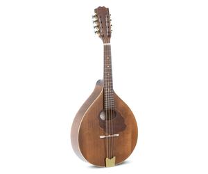 Mandolino - Mandola Pro Arte - Antique