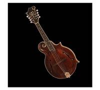 Mandolino Medio-basso A Cinque Gradi Strumento Mandolino A 8 Corde Interamente Impiallacciato Fatto A Mano Professionale Mandolino