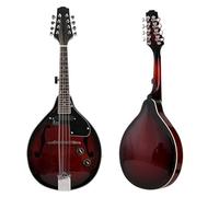 Mandolino Per Principiante Mandolino Elettroacustico Con Pannello Sapele E Regolazione Del Volume