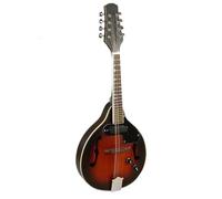 Mandolino Per Principiante Strumento Musicale Mandolino Chitarra Mandolino Tibetano Elettroacustica