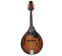 Mandolino Prestazione Professionale Strumento A Corde Per Mandolino Elettrico A Otto Corde Per Prestazioni Professionali(C)