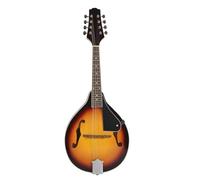 Mandolino Prestazione Professionale Strumento A Corde Per Mandolino Elettrico A Otto Corde Per Prestazioni Professionali(G)