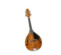 Mandolino Professionale Che Suona La Chitarra A 8 Corde Strumento Tradizionale Strumento Mandolino Colorato