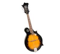 mandolino strumento Lo Strumento Popolare Tibetano Mandolino Fatto A Mano Ha Un Timbro Eccezionale E Una Sensazione Eccellente