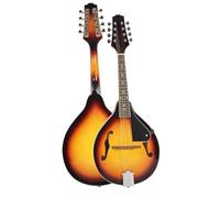 Mandolino Strumento Musicale Mandolino A 8 Corde In Tiglio Con Acciaio In Palissandro Che Accompagna I Principianti Del Ponte Regolabile Dello Strumento Musicale