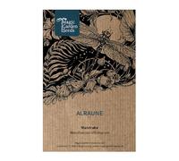 Mandragora (Mandragora officinarum) - circa 5 semi