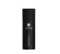 MANE - Spray di fibre addensanti per capelli fini e ritocco delle radici. Per donne e uomini. Dissimula la caduta dei capelli e le zone calve, 100 ml, grigio