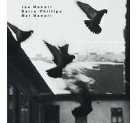 Maneri Joe - Angles Of Repose