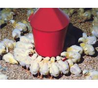 Mangiatoia a tramoggia per pulcini - polli - galline - fagiani - quaglie