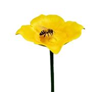 Mangiatoia decorativa in metallo per uccelli, api e farfalle, supporto da giardino colorato e pratico