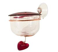 Mangiatoia per abbeveratoio per colibrì, porte di alimentazione rosse, formiche e api, resistenti agli uccelli, in vetro, per colibrì